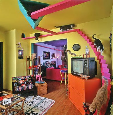 cats: crazy cat woman cat house